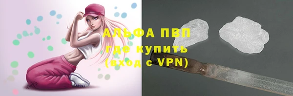 гашик Новокубанск