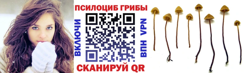 Псилоцибиновые грибы мицелий  mega зеркало  Сычёвка  наркотики 