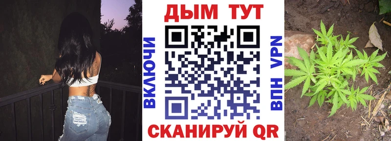 Бошки Шишки OG Kush  OMG ТОР  Сычёвка 